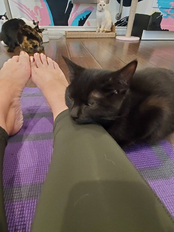 Kitty Cat Kids Yoga Mat –